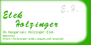 elek holzinger business card